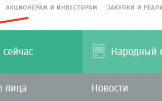 Оплата ООО «Сибирская теплосбытовая компания» : коммунальные платежи