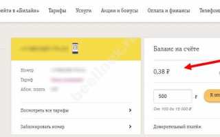 Как проверить баланс через личный кабинет Белтелеком: узнаем состояние счета ByFly, Zala и домашнего телефона