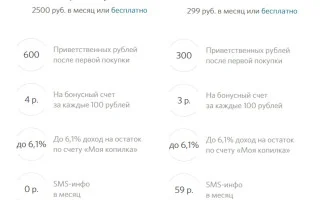 Ответы: Как оплатить авиабилеты рублями с бонусного счета карты Travel от банка Открытие? — 2026.