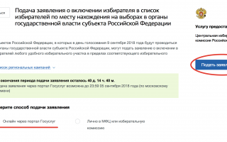 Второй тур выборов президента-2019: как проголосовать не по месту регистрации