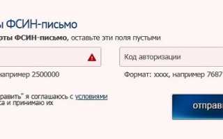 ФСИН-ПИСЬМО электронные письма лицам, содержащимся под стражей в учреждениях ФСИН России.