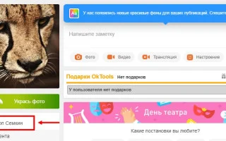 Как узнать логин в Одноклассниках: свой и чужой — 2026.