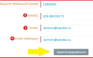 Добро пожаловать в обновленную Систему дистанционного обучения! — 2026.