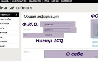 Правильное удаление учетной записи ICQ. Как удалить аккаунт ICQ навсегда: рабочий подход — 2026.
