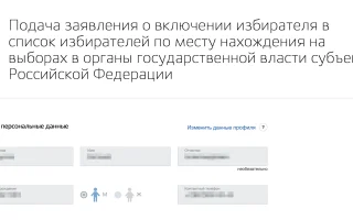 «Мобильный избиратель»: как проголосовать 8 сентября там, где легко и удобно — 2026.