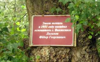 О Министерстве природных ресурсов и экологии Российской Федерации