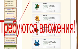 Игра Money Birds — лучшая и самая надежная игра с выводом денег в интернете — 2026.