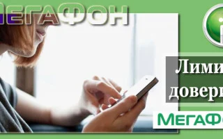 «Предоставленный лимит» от МегаФона: подробное описание, как подключить или отключить — 2026.