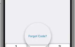 Pinfinder: Помогу быстро вспомнить забытый пароль ограничений в iPhone и iPad — 2026.