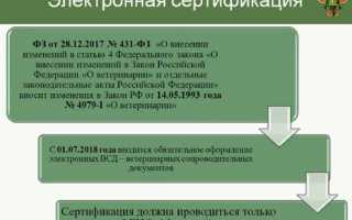 Как зарегистрироваться в Меркурии индивидуальному предпринимателю