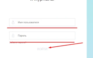 Как войти в электронный журнал Барс 33 Владимирской области (школа.образование33.рф) — 2026.