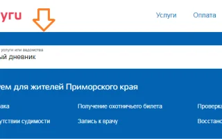 Как зарегистрировать и зайти в электронный дневник школьника через Госуслуги — 2026.