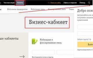 Личный кабинет Билайна для юрлиц – вход, регистрация, возможности