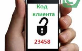 Что такое код клиента в Сбербанке, как его можно узнать и получить