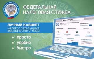 Программист 1C — Настройка входа в личный кабинет на сайте nalog.ru для юридического лица
