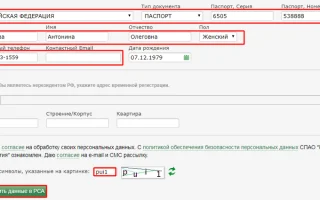 Массажные кресла, массажеры, ортопедия, прессотерапия, лимфодренаж, косметология и тренажеры для фитнеса — 2026.