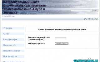 ВЦ по коммунальным платежам г.Комсомольска-на-Амуре и г.Амурска — Информация для абонентов