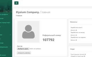 Компания Элизиум (Elysium). Прибыльный интернет-проект в сфере МЛМ — 2026.