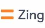 Zing KZ – займы в Казахстане до 200 000 тенге за 15 минут
