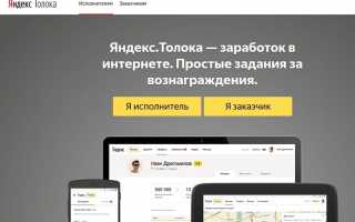 Работа в Яндекс через Толоку – вход в личный кабинет, примеры заданий и вывод денег