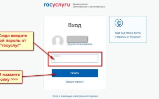 cabinet.ruobr.ru Личный кабинет — электронная школа Кемеровской области — 2026.
