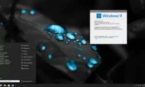 Основные преимущества WindowsBy.ru.