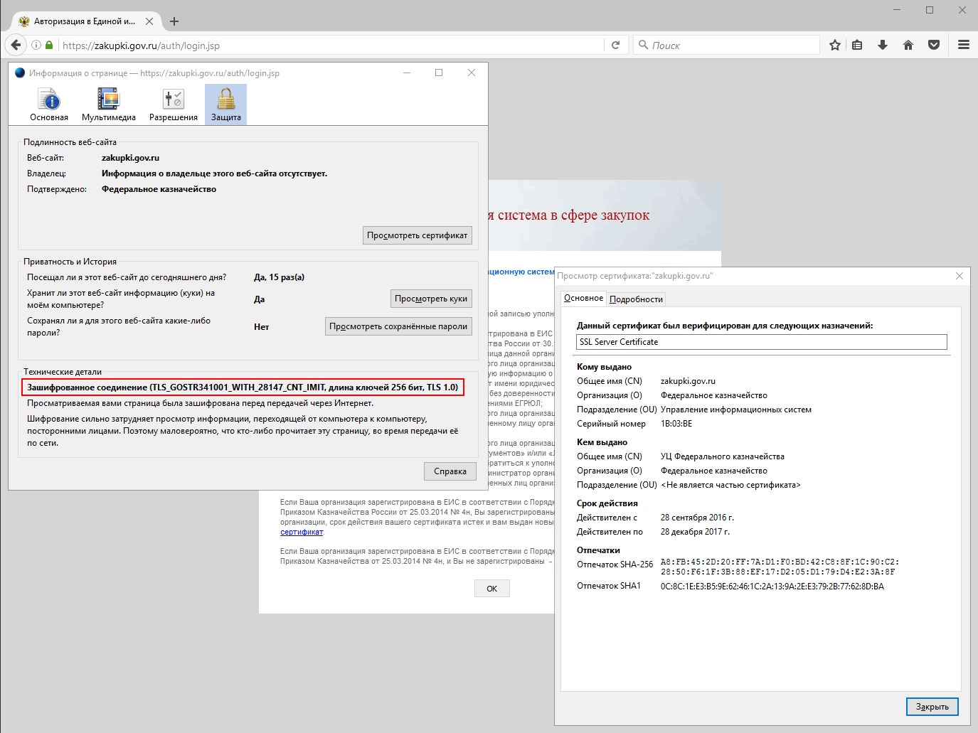 Заходим в личный кабинет на zakupki.gov.ru без Internet Explorer и другие полезные советы при работе с КриптоПро — 2026.