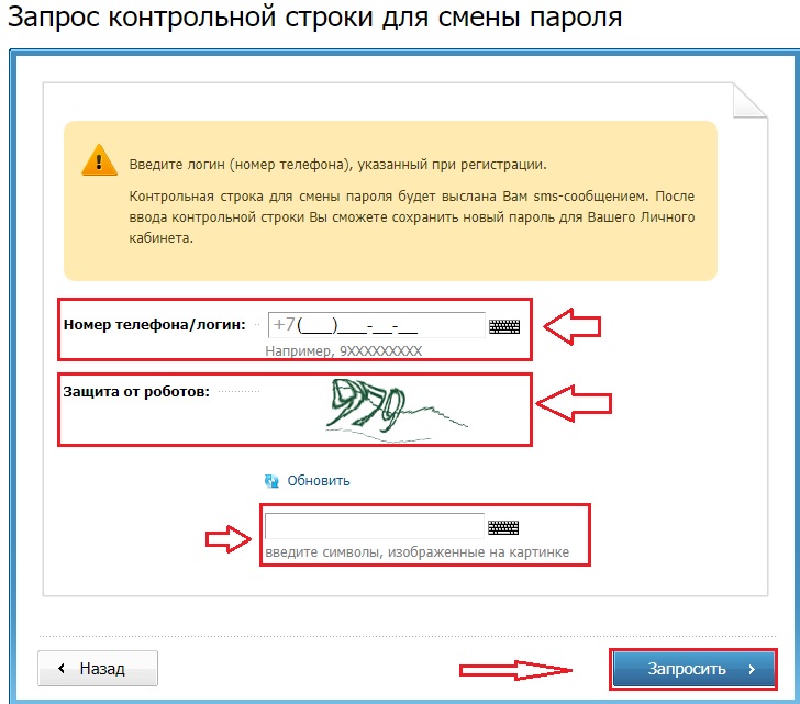 Рт войти. Контрольная строка в госуслугах. Контрольная строка для смены пароля что это. Контрольная строка номер телефона. Выслать контрольную строку.